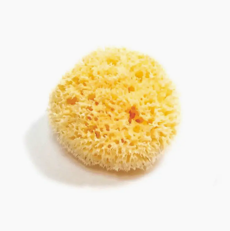 Natural Sea Sponge - Plastic Free Organic Sea Sponge