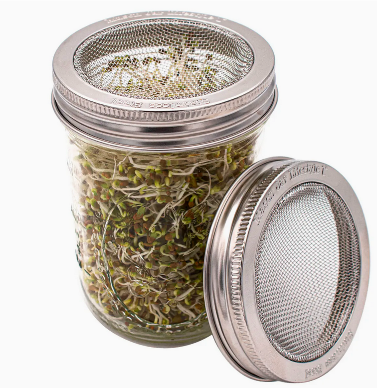 Curved Rust Proof Sprouting Lid and Band For Mason Jars - WM