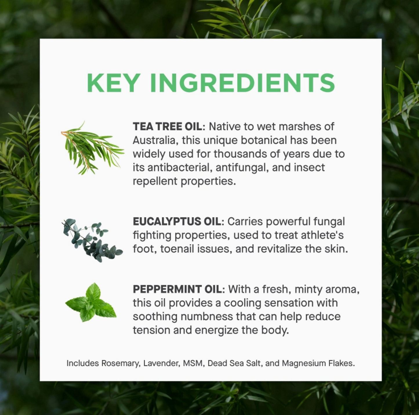 Tea Tree Oil Foot Soak with Epsom Salt | Fungus & Odor 16 oz