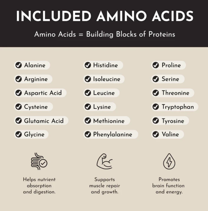 Protein Powder - Vanilla Bean