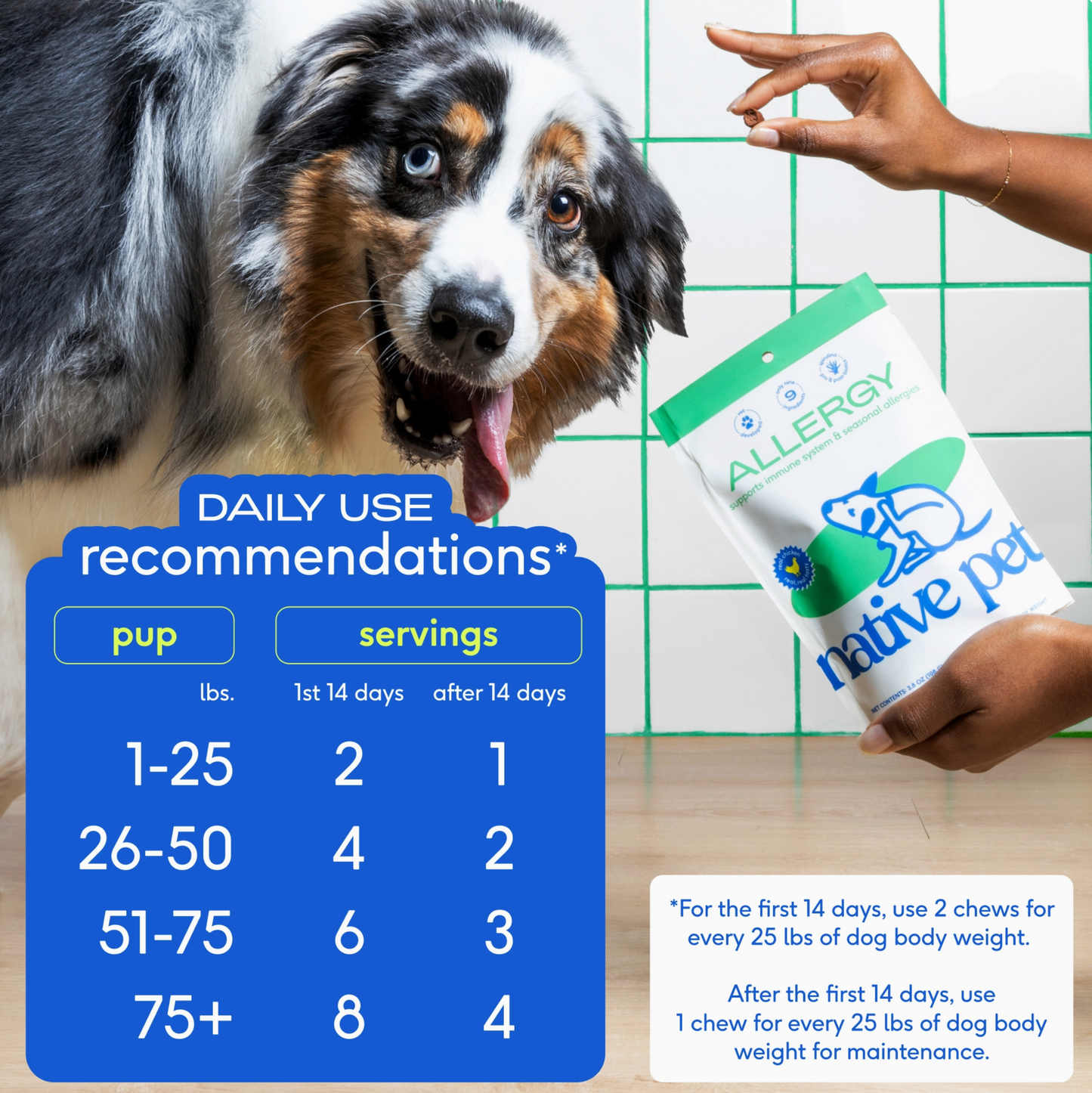Allergy & Immune Chews, An Allergy & Itch Relief Supplement