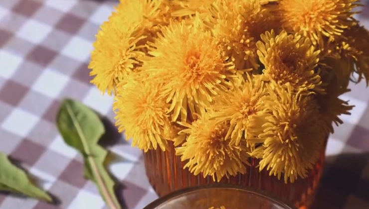 Dandelion Root Tincture - Supports Detox & Liver Health