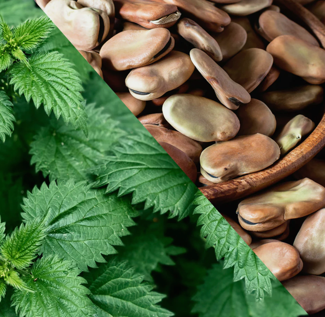 Aller-Aid™ Capsules