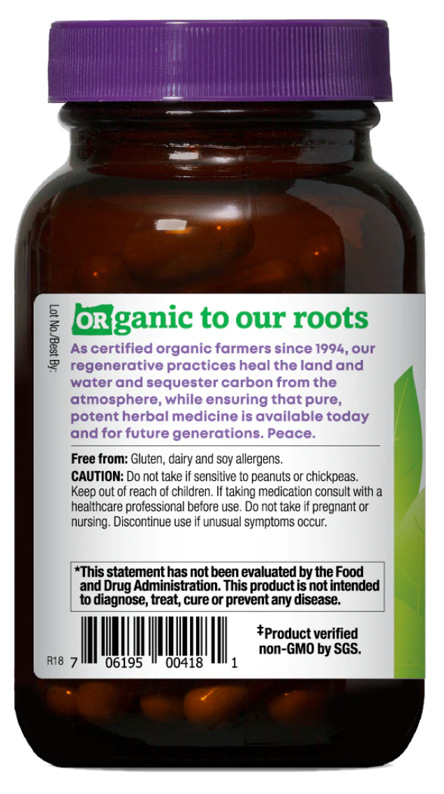 Astragalus Capsules - Long Term Immune Support