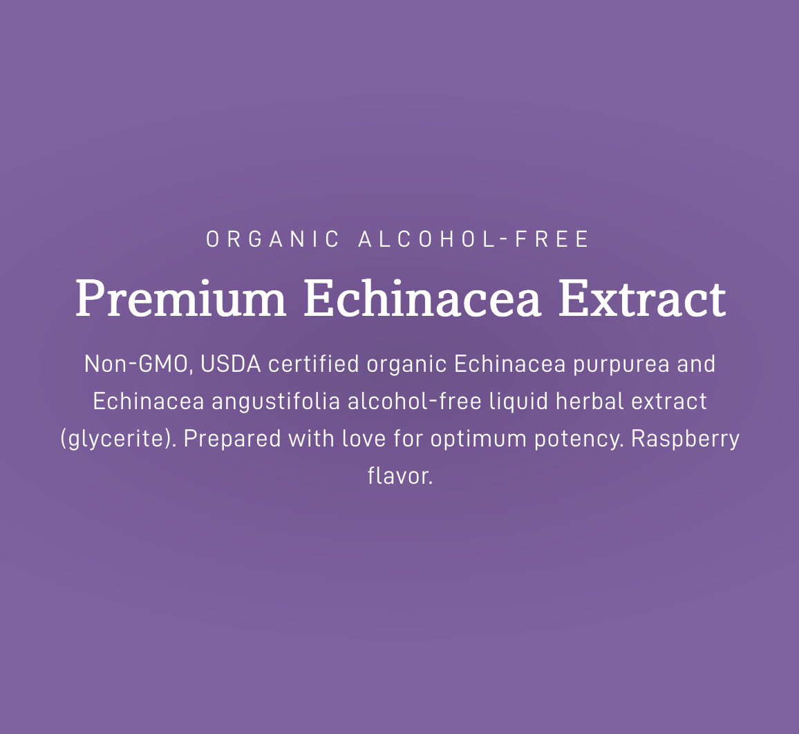 Premium Echinacea, Alcohol-free - Raspberry