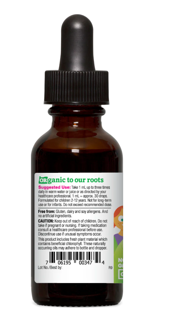 KIDS Echinacea Goldenseal, Organic, Alcohol-Free - Orange