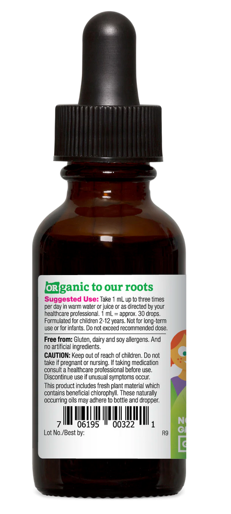 KIDS Echinacea, Organic, Alcohol-Removed - Raspberry