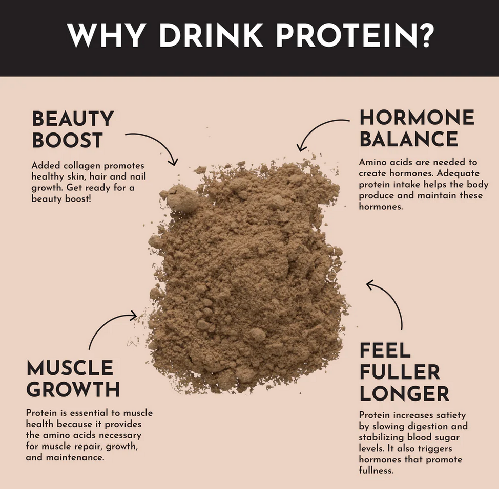 Protein Powder - Roasted Peanut Butter Chocolate