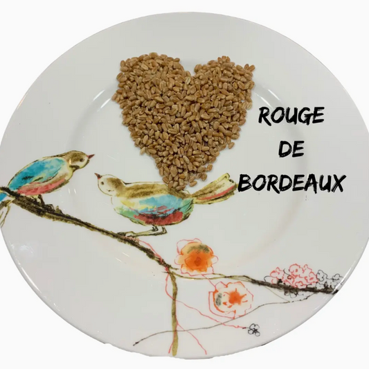 Rouge De Bordeaux Wheat Berries