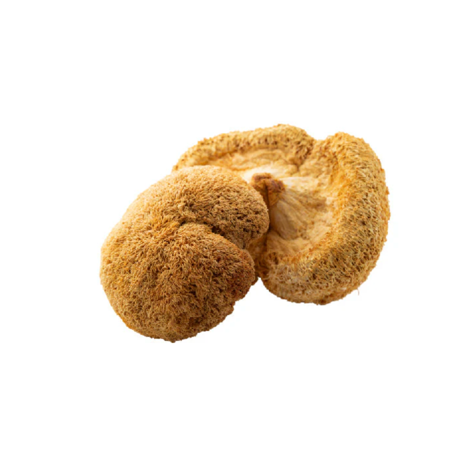 Lion's Mane Organic