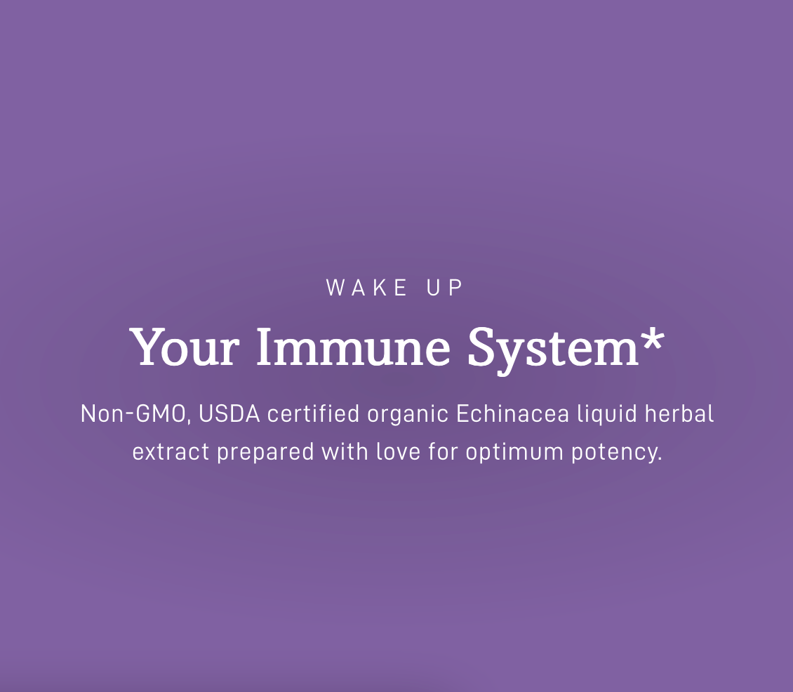 Premium Echinacea, Organic Extract Wake up Your Immune System
