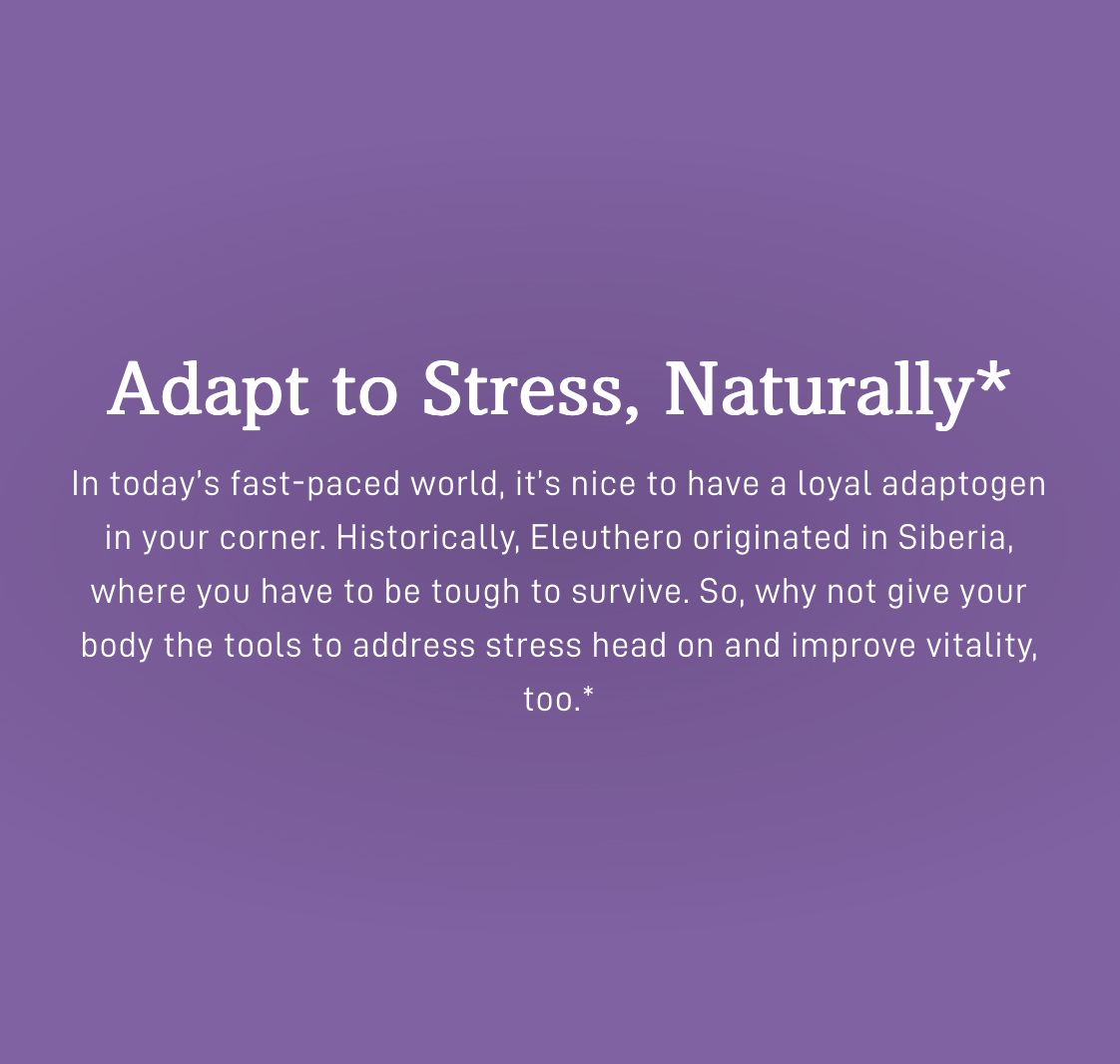 Eleuthero Capsules - Adapt to Stress, Naturally