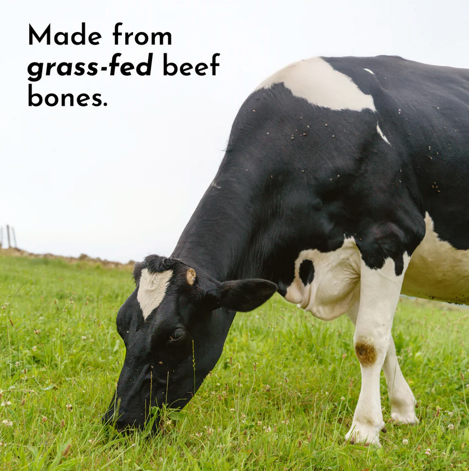 Chocolate Bone Broth Protein - 15 Servings