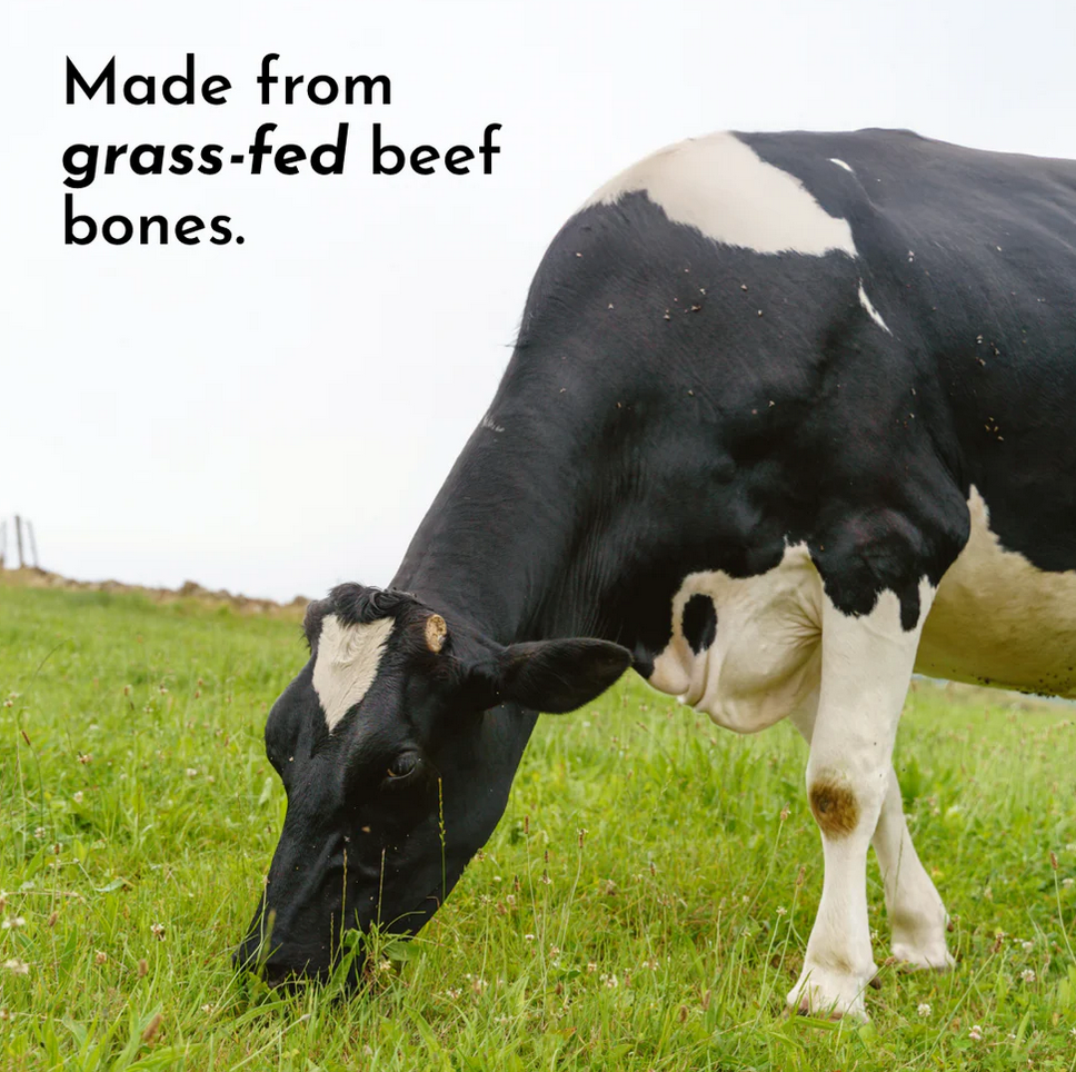 Lemon Cream Bone Broth Protein - 15 Servings