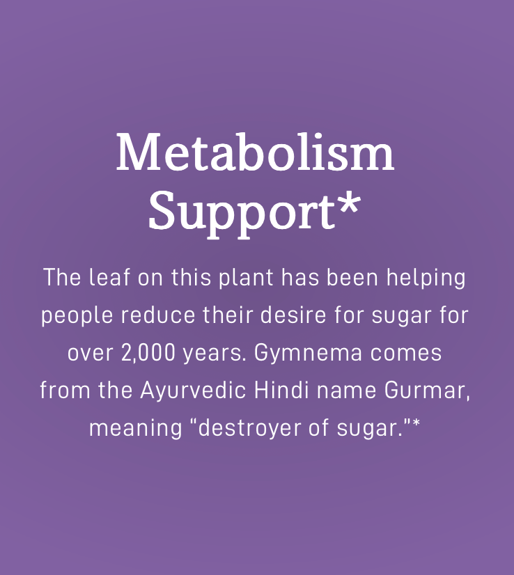 Gymnema Capsules | Metabolism Support