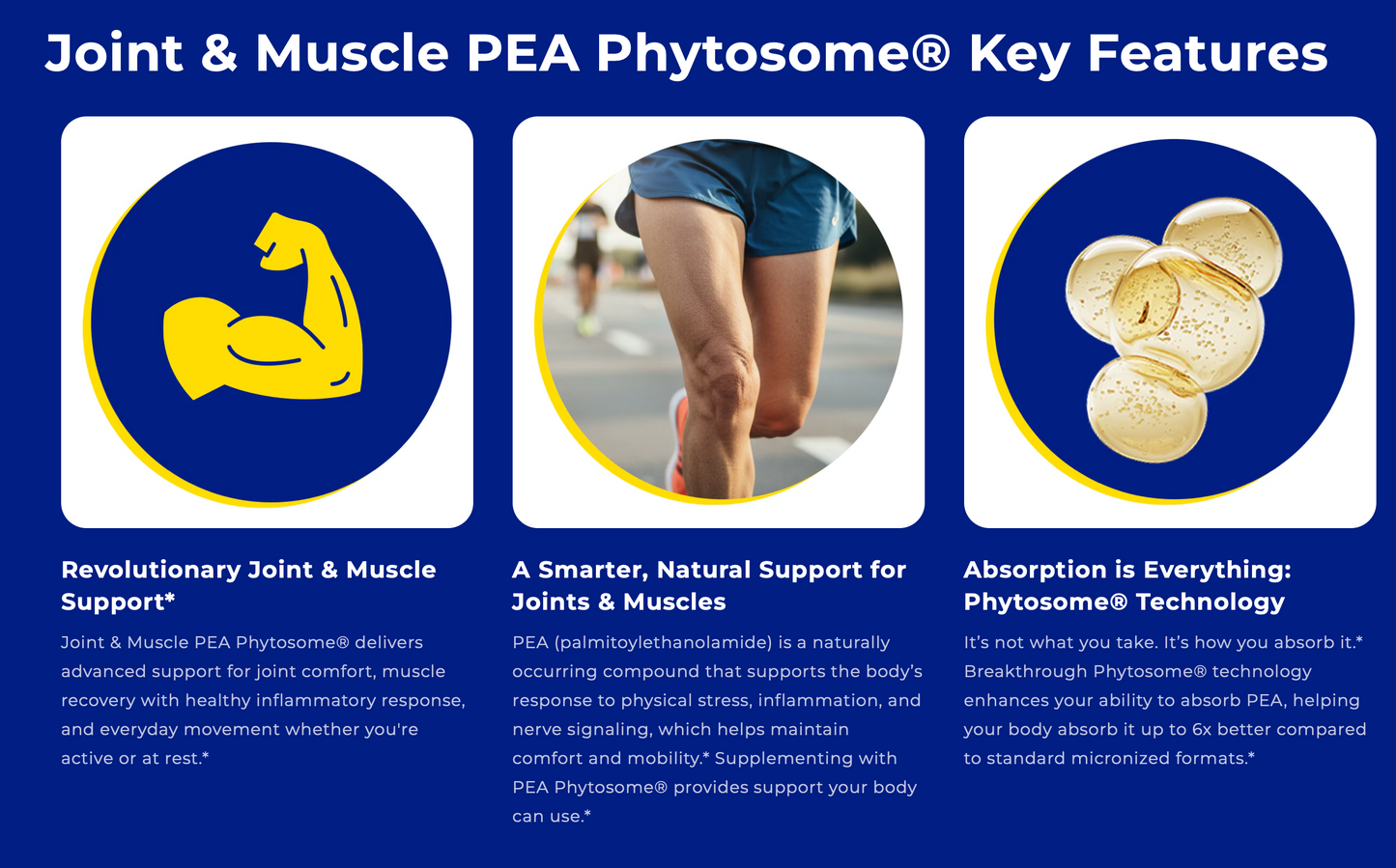 Joint & Muscle PEA Phytosome®