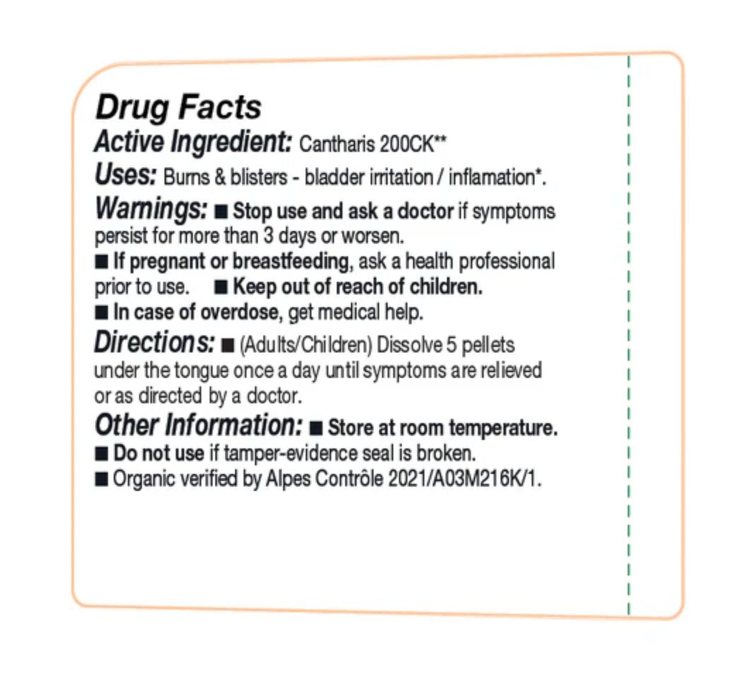 Cantharis 200ck | Burns & blisters - Bladder Irritation/Inflammation.