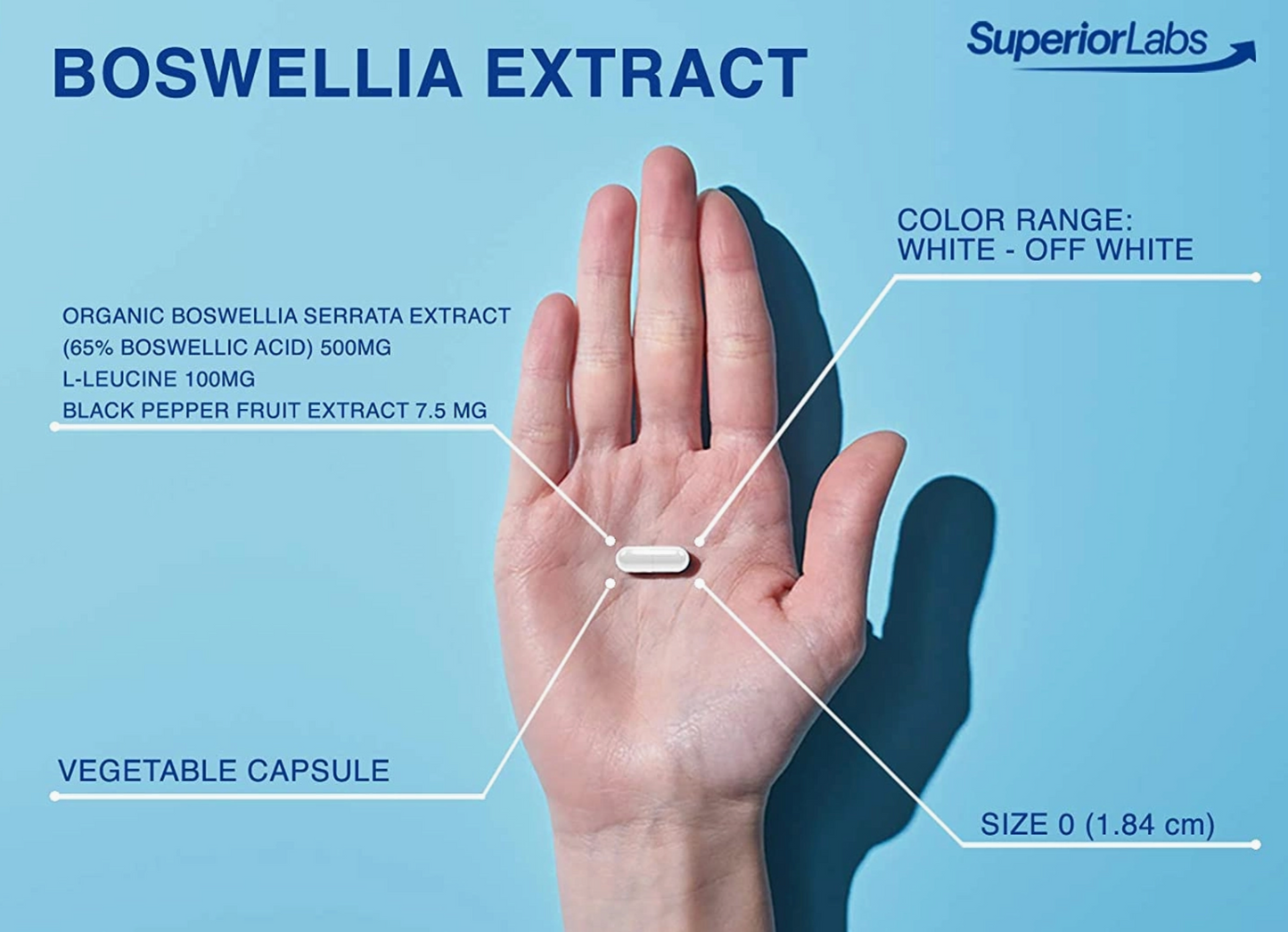 Boswellia Extract
