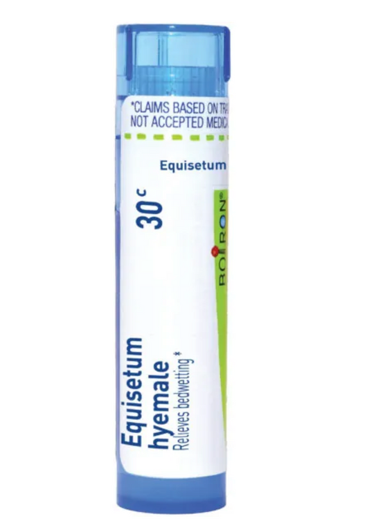 Equisetum Hyemale |  Relieves Bedwetting *
