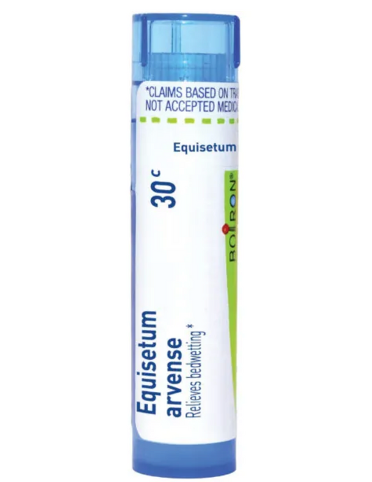 Equisetum Arvense |  Relieves Bedwetting
