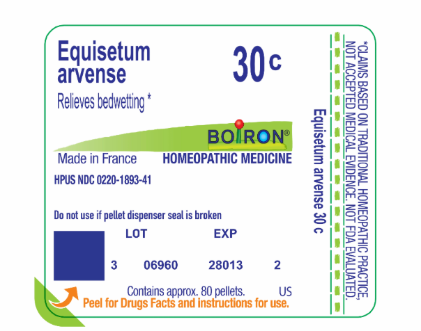 Equisetum Arvense |  Relieves Bedwetting