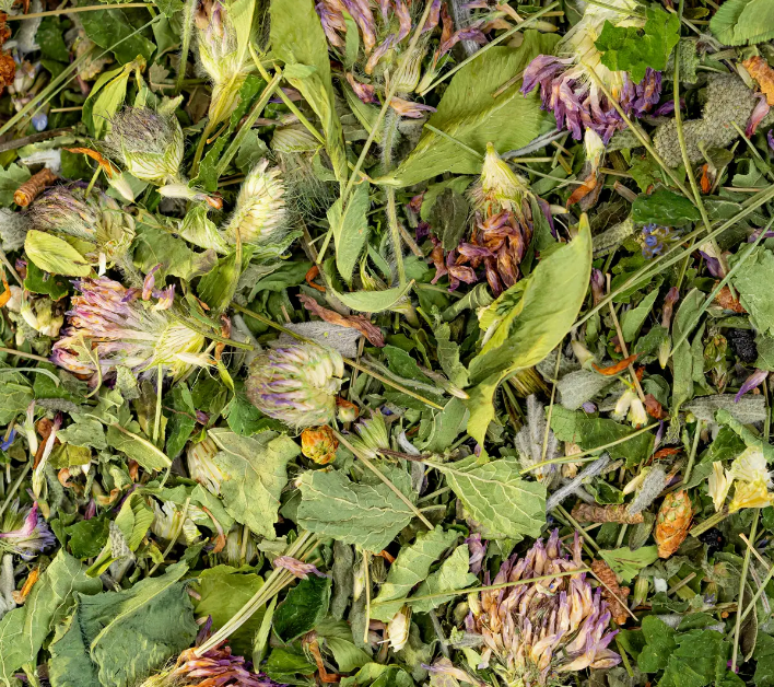 Immunity Herbal Tea