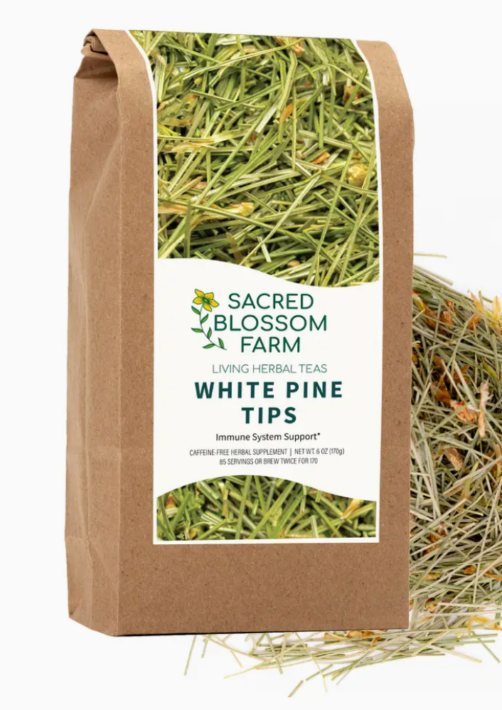 White Pine Tips, 6.0 oz. (Pinus Strobus)