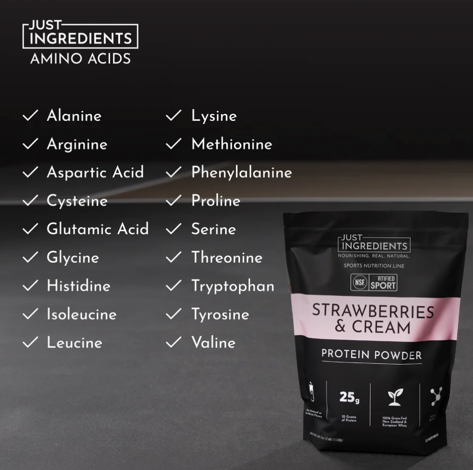 Strawberries & Cream Protein Powder (20 Serving) - NSF