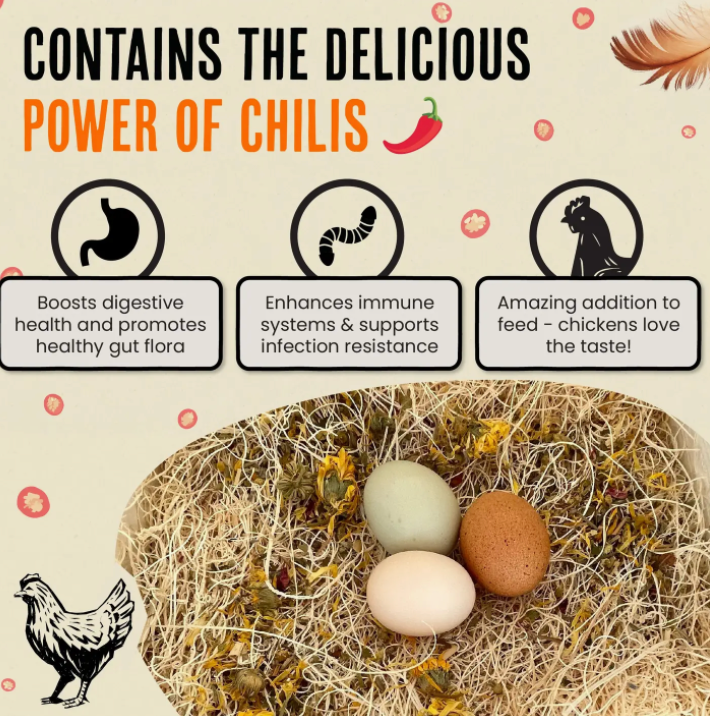 Chicken Nesting Herbs | Pest Repellent | For Chicken Coops