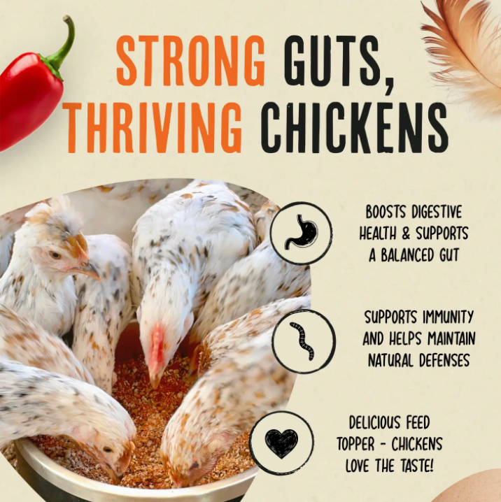 Flock Armor | Daily Chicken Dewormer | Flock Gut Support