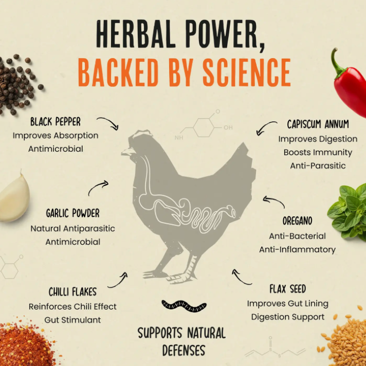 Flock Armor | Daily Chicken Dewormer | Flock Gut Support
