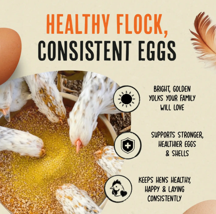 Gold Dust Daily Egg Booster