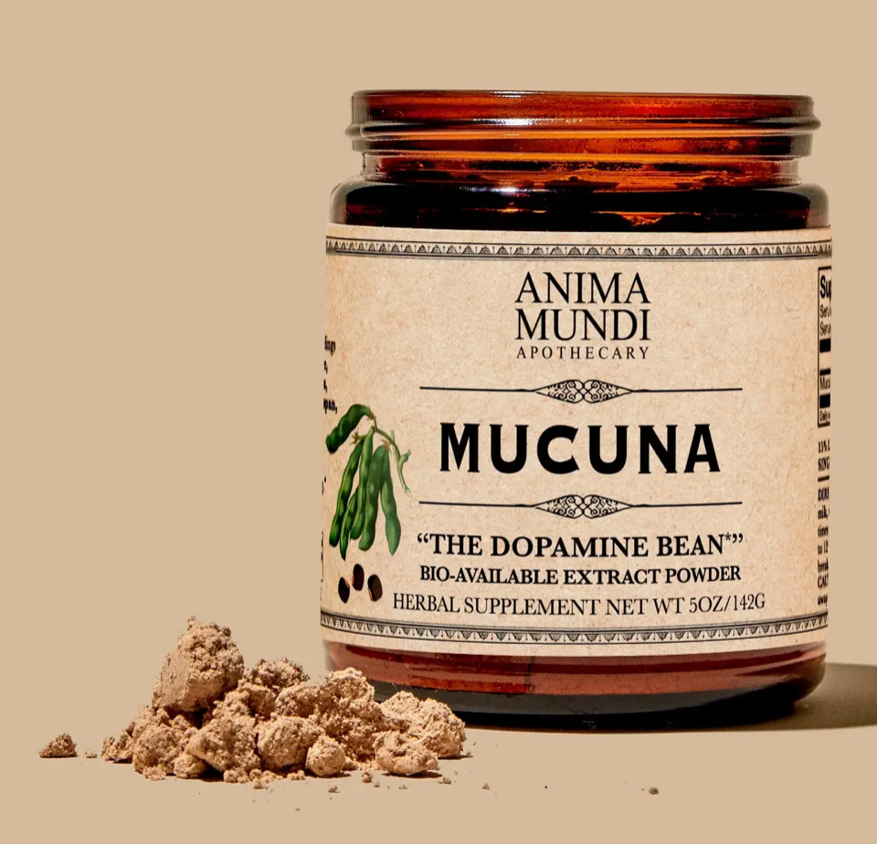 Mucuna | "the Dopamine Bean" Extract Powder