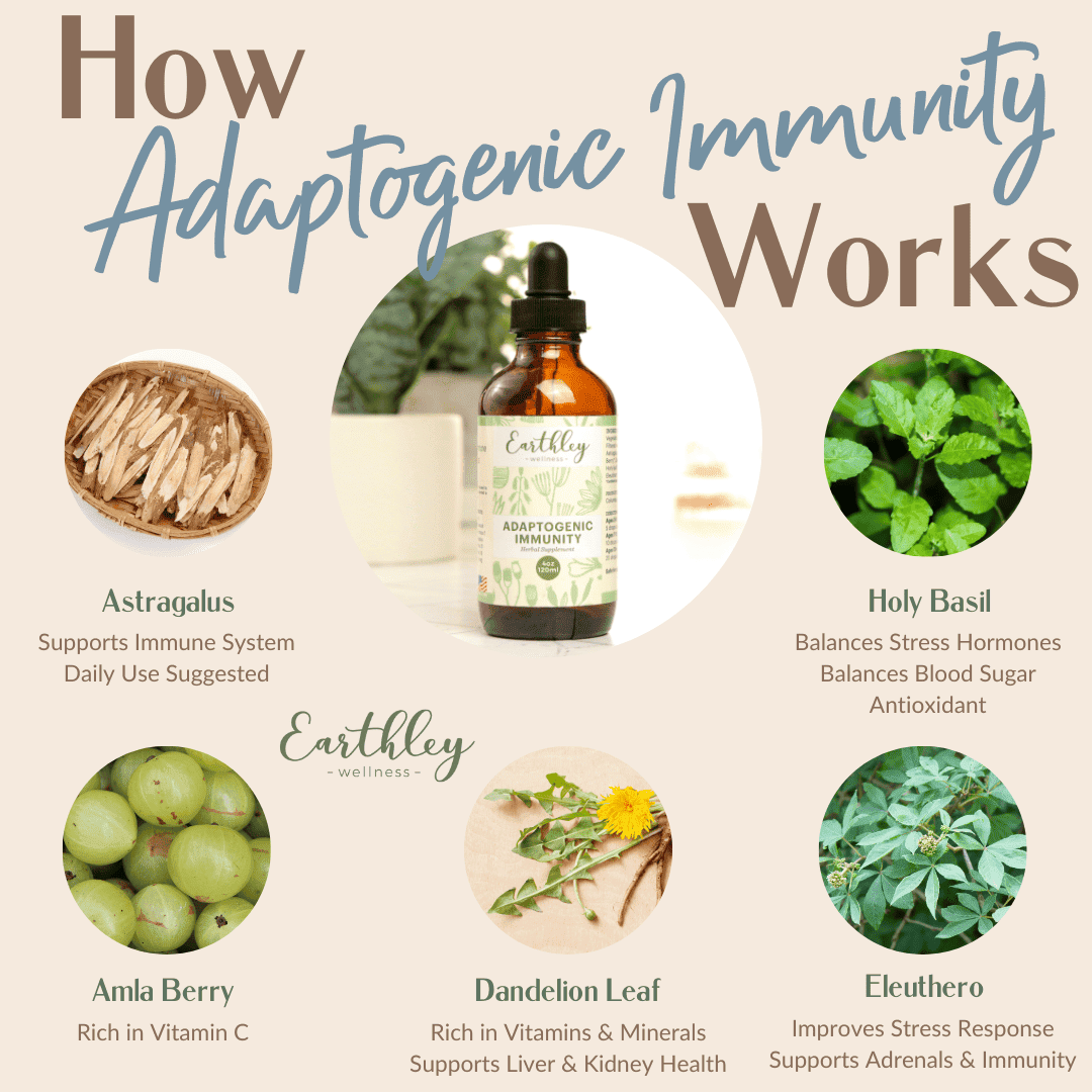Adaptogenic Immunity For Daily Stress and Immune Support