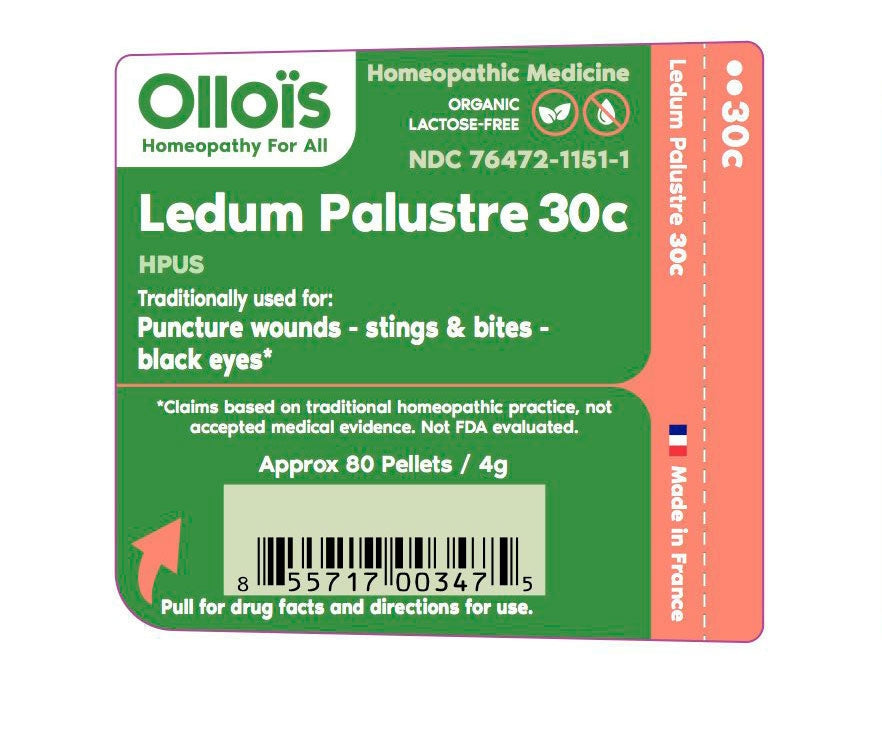 Essentials - 10 Homeopathic Remedies