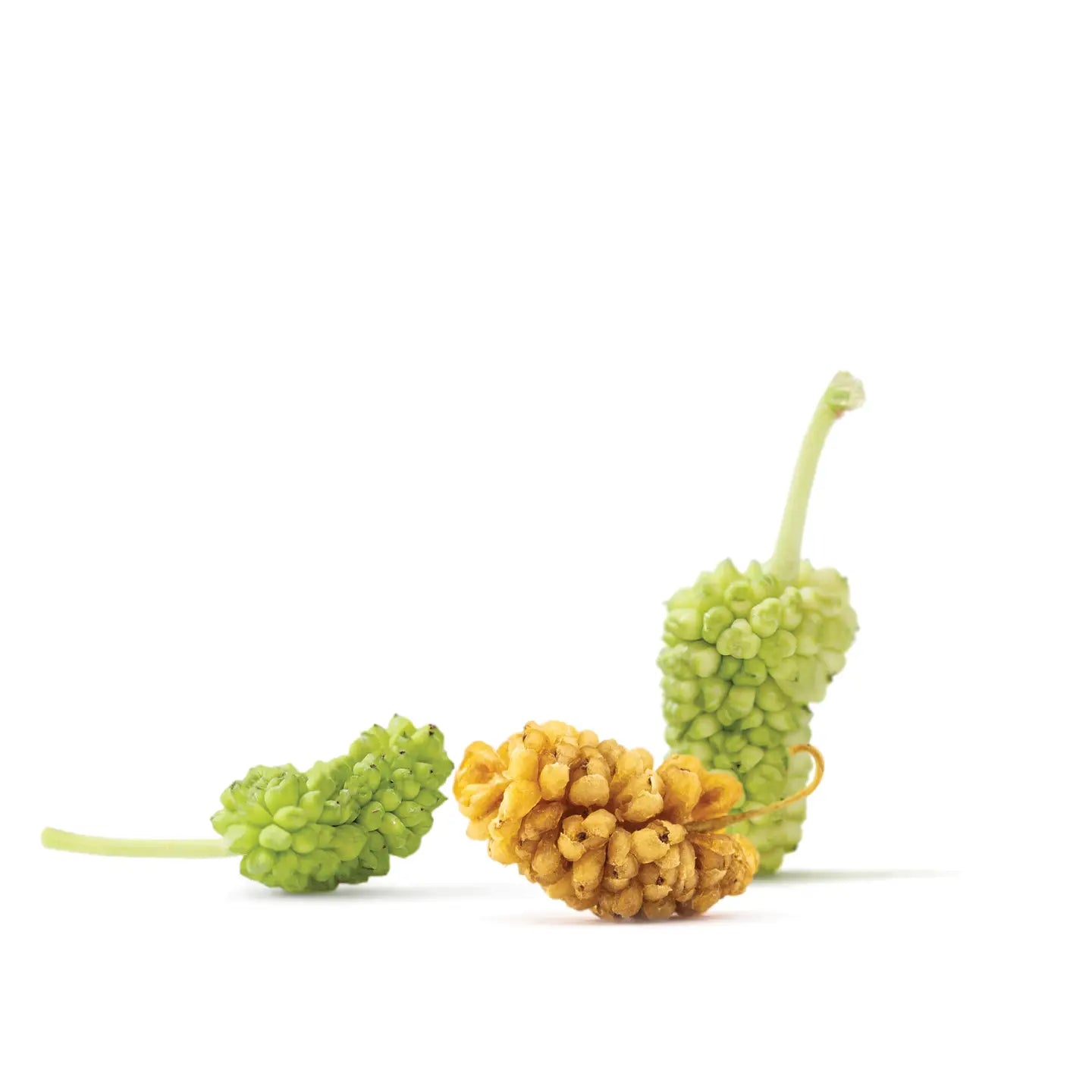 White Mulberries - Organic