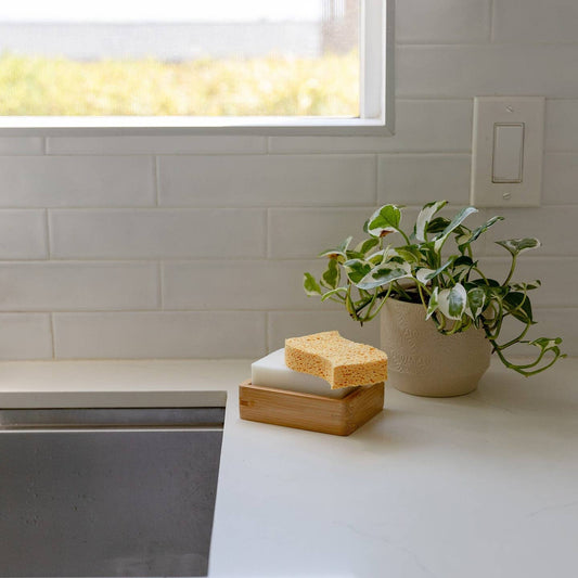Biodegradable Kitchen Sponge 2-Pack