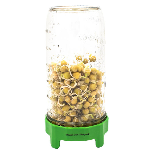 Rust Proof Sprouting Lid with Built-in Stand For Wide Mouth