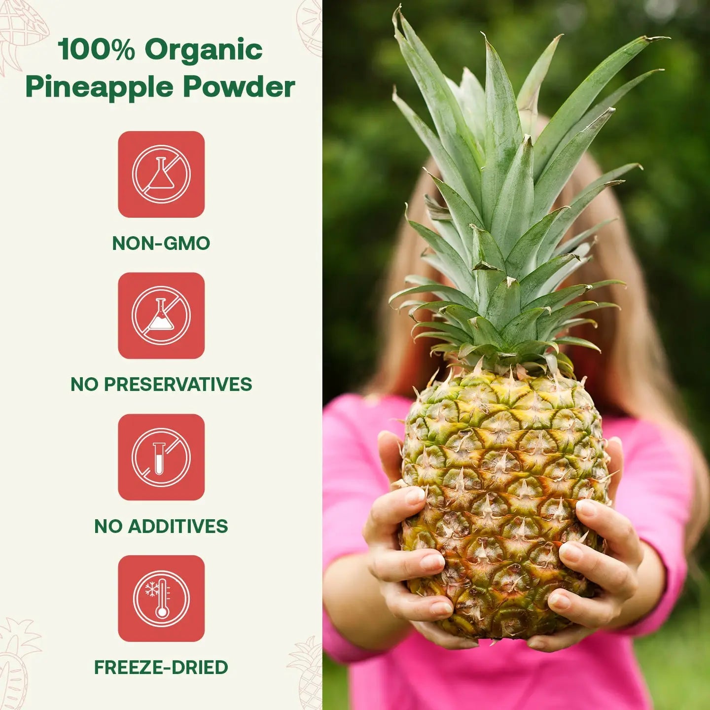 Organic Pineapple Powder