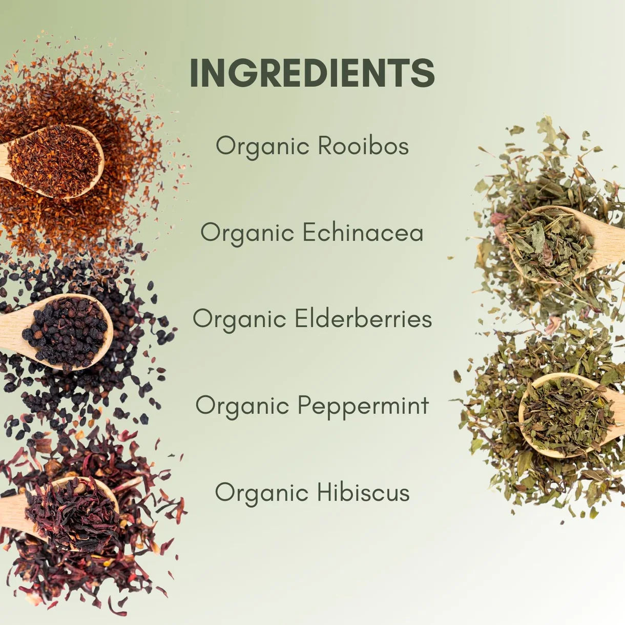 Organic Immunity Blend Tea
