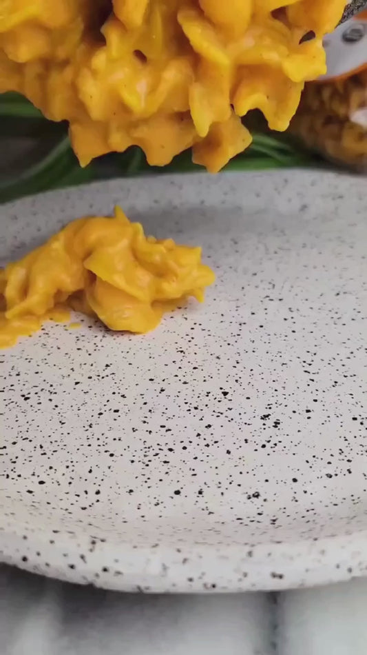 Pasta - Chickpea + Turmeric